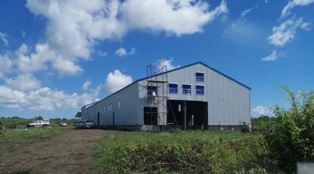 实景呈现！毛里求斯养殖场应用宝润达聚氨酯复合板项目圆满完工
